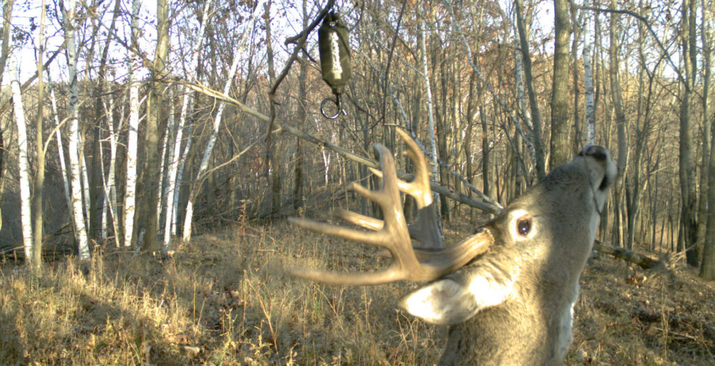 2011 11 07 16 54 03 M 5 10 Master the Mock Scrape | Deer & Deer Hunting