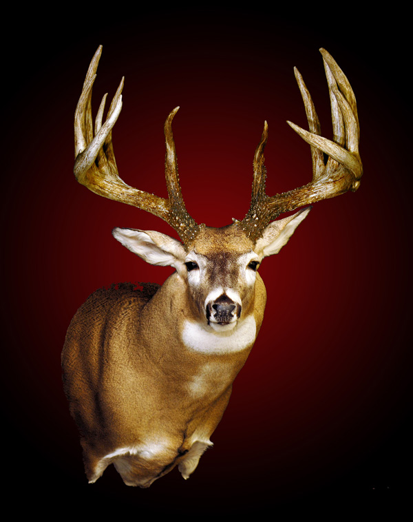 A replica of the Johnny King Buck