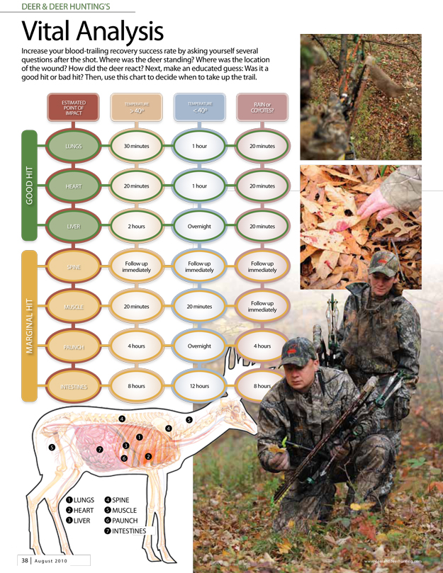 Just How Good of a Deer Tracker Are You? -