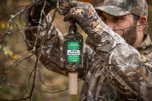 Amp Up Your Whitetail Rut Scent Strategies