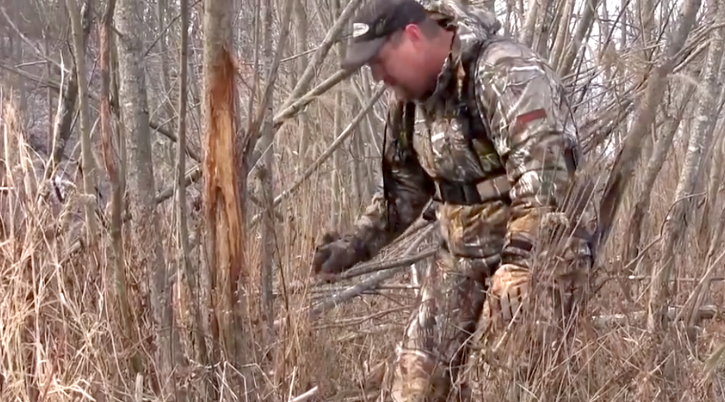 Big Rub on tree Survey: Rubs Beat Scrapes for the Best Deer Hunting Success