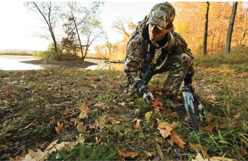 Bowhunting Bloodtrailing The Best Tips for Tracking Deer When the Blood Trail Stops