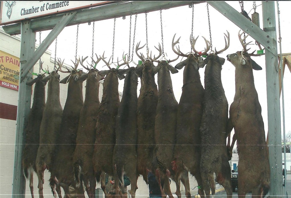 Buck Pole The .45-70 Gov't: A Legendary Deer Hunting Cartridge
