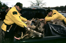 Deer Kill Check Station
