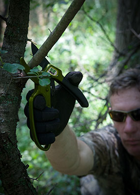 Pruning limbs and cutting trees, thinning timber of undesired trees and hinge cutting are ways to improve your property without spending much money.