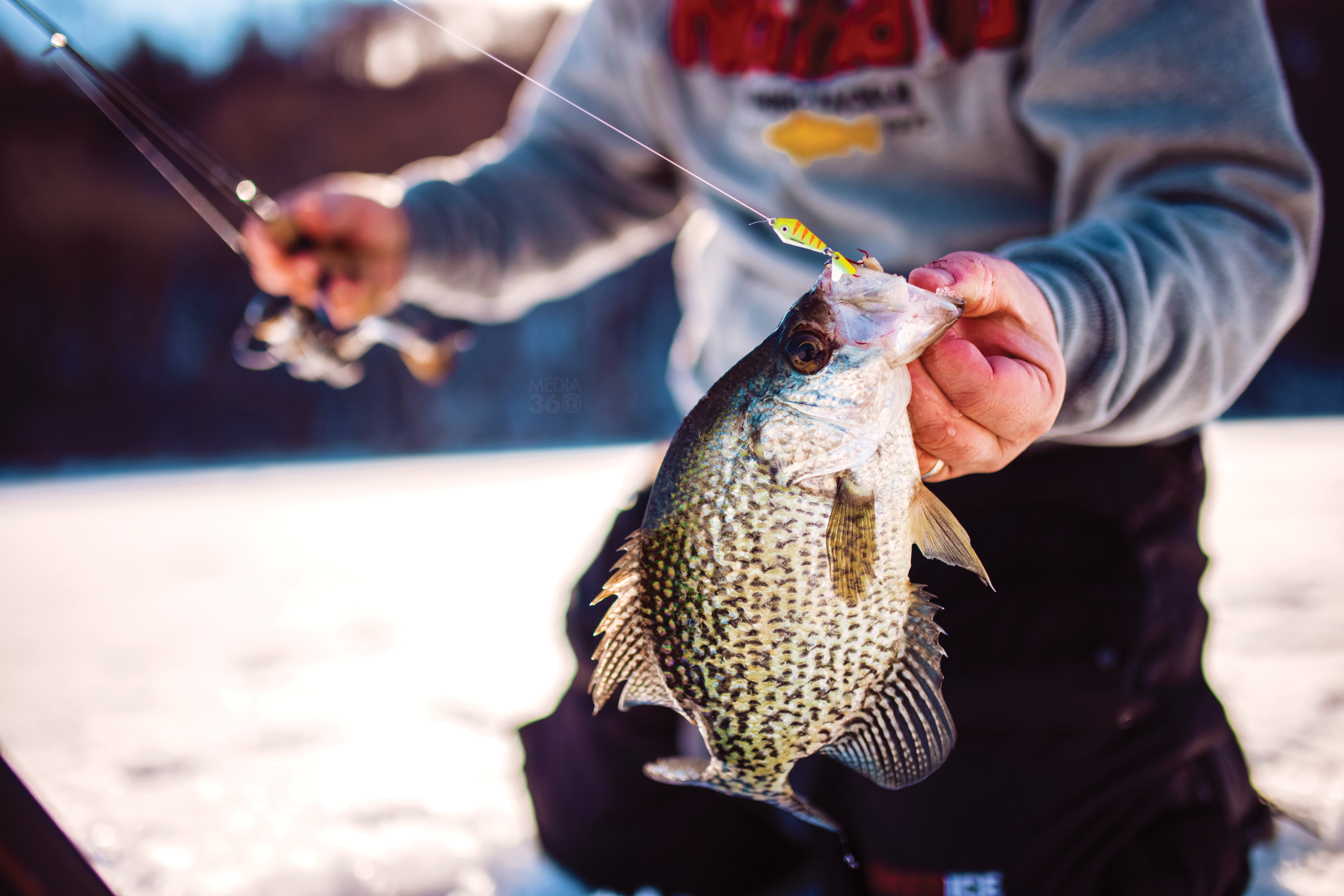 3 Ways to Find Crappies Anywhere