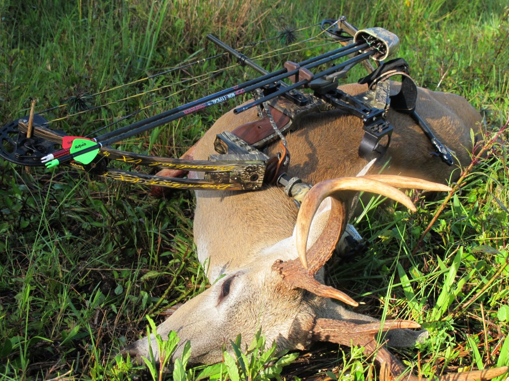 Florida Bow Season on Destination Whitetail!