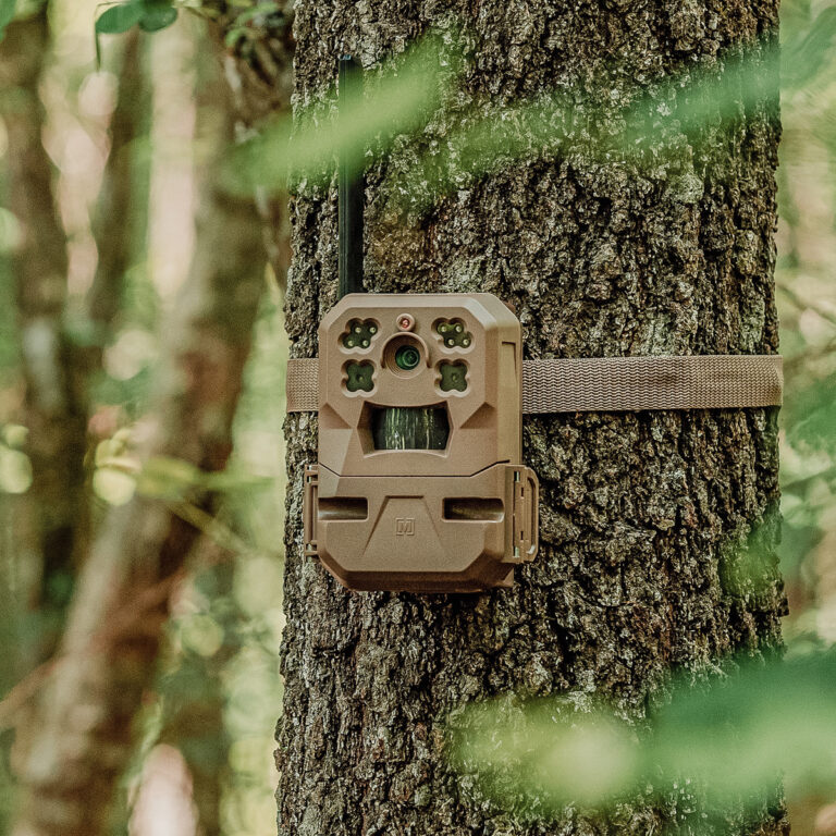 new-moultrie-edge-cellular-trail-camera-is-insanely-user-friendly