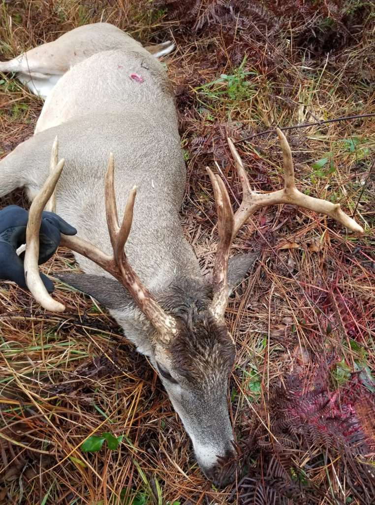 D+DH Superfans: Georgia | Deer & Deer Hunting