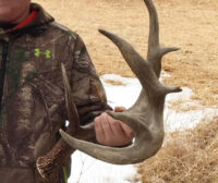 The Biggest Set of Shed Antlers Ever Found