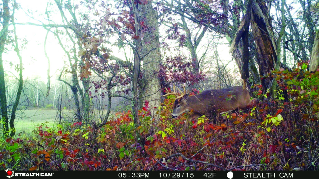 How to Get theMost Out of Your Trail Cameras
