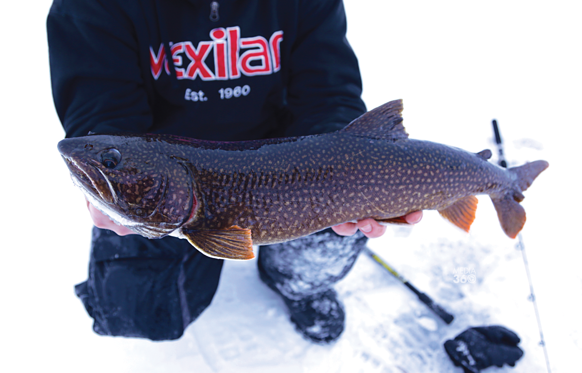 Where to Find Large Lake Trout This Winter