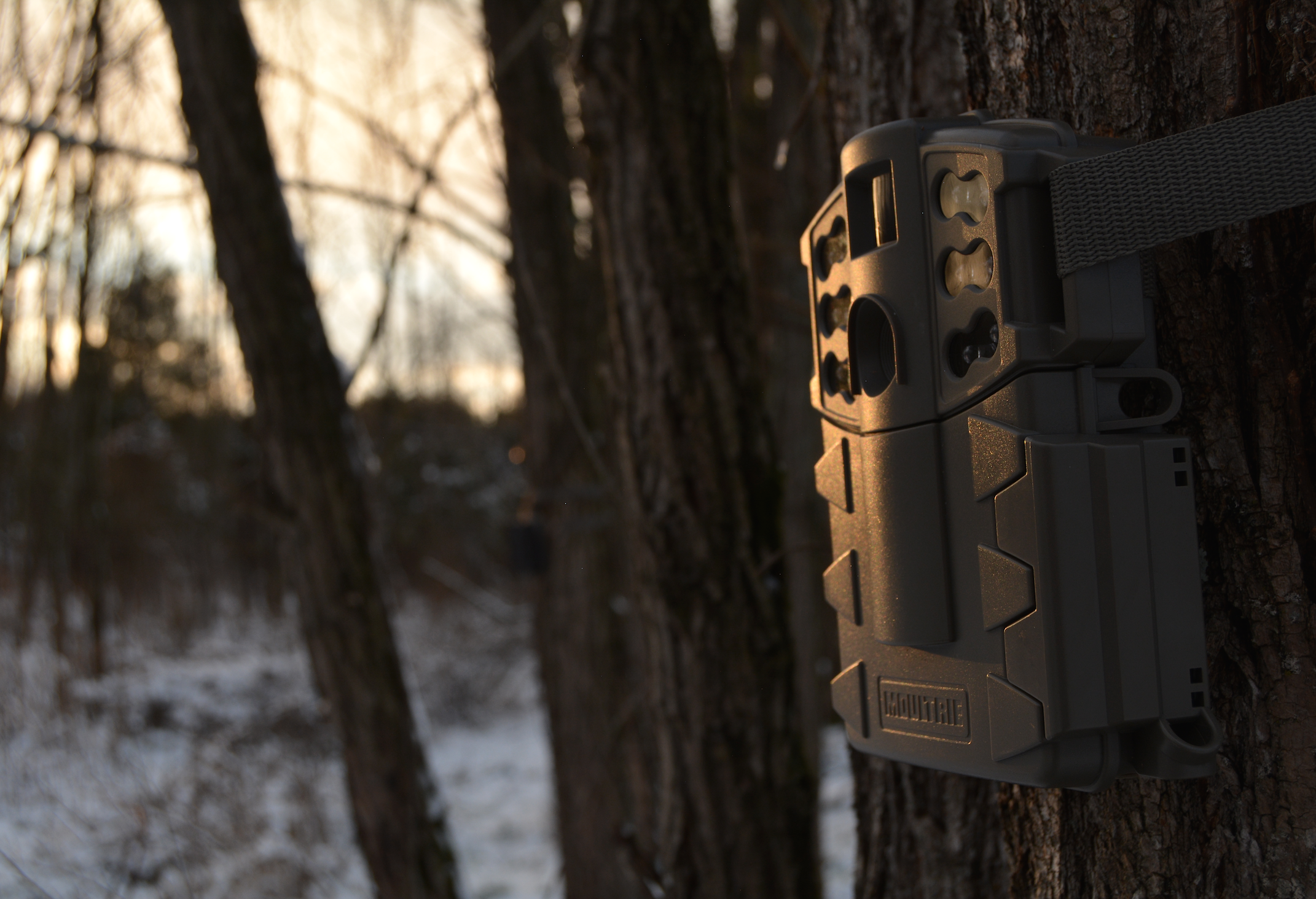When deer season ends, don't despair. Get into the woods to scout and use your game cameras for surveying does and bucks to see what survived the season.