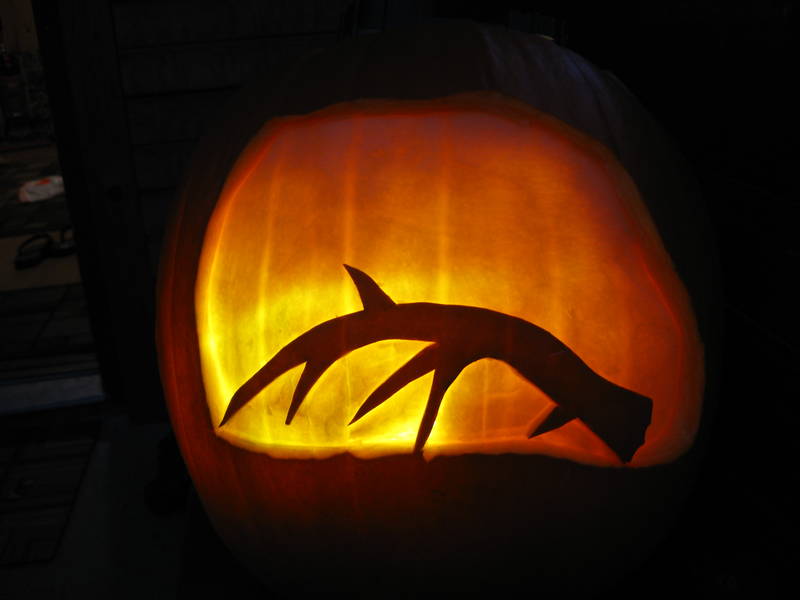 The Best Carved Deer Pumpkins, and Two Explosive Videos