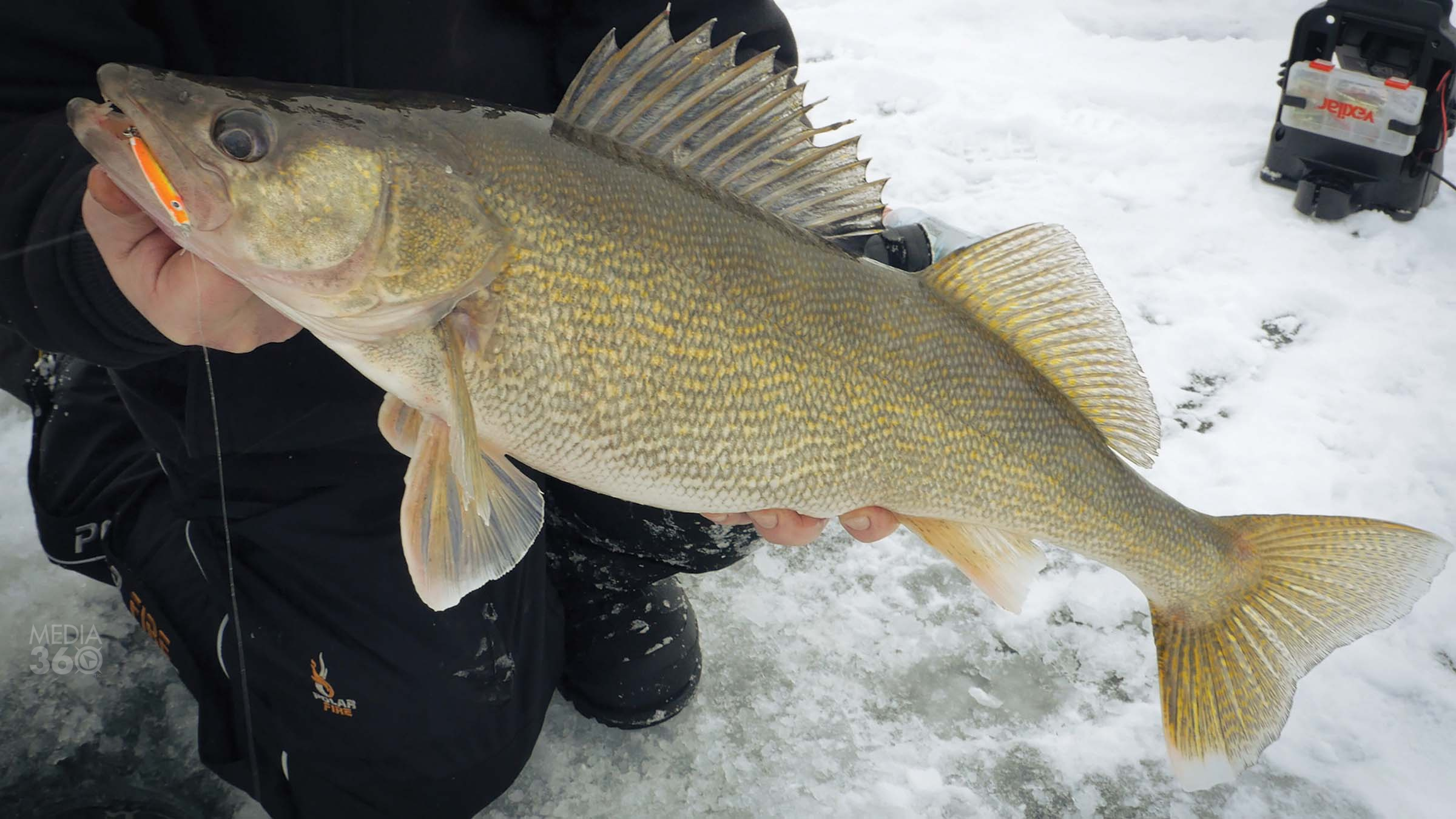 Drop-shotting tricks for winter walleye - Ontario OUT of DOORS