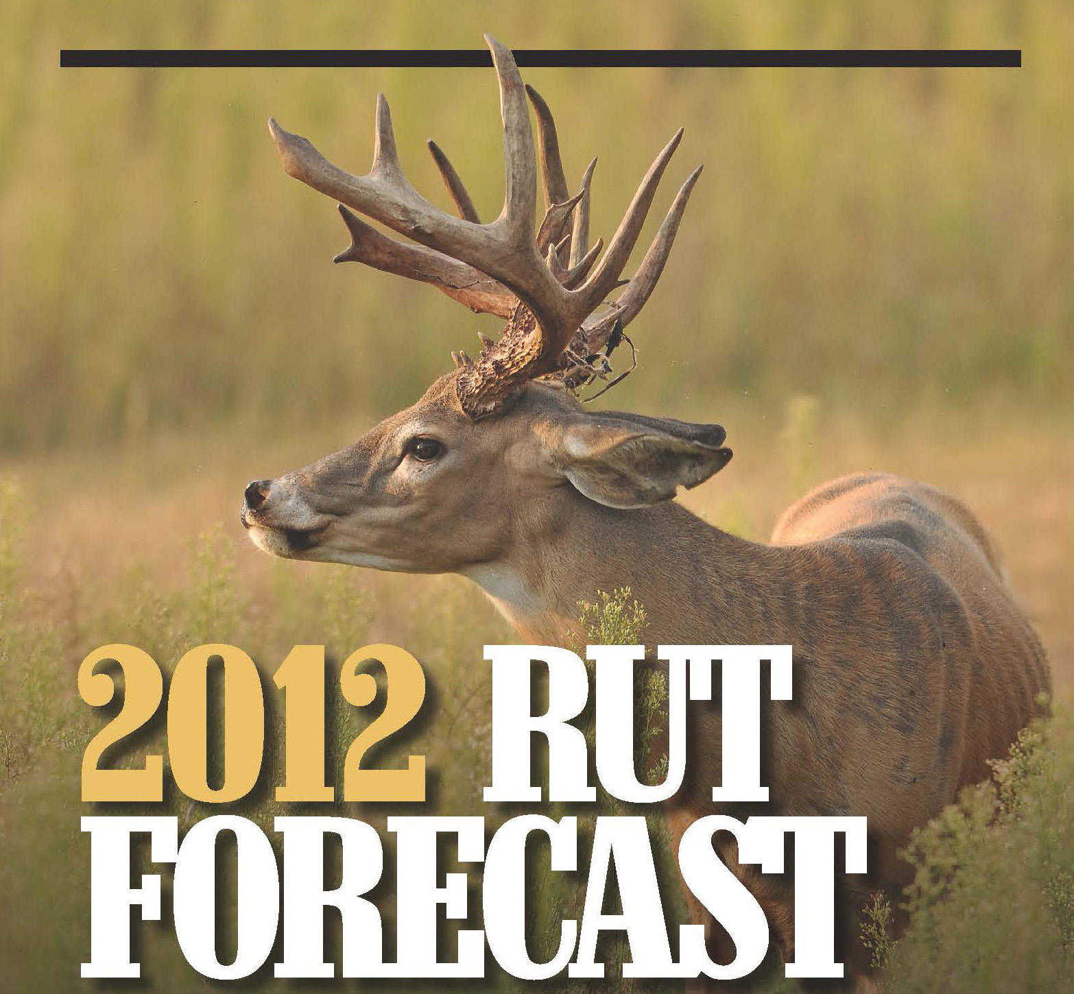 Hunt the Prime of the 2012 Deer Rut