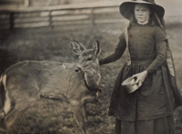 This is the Oldest-Known Photo of a Deer