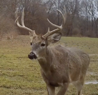 Hunt 'em Big Archives | Deer and Deer Hunting