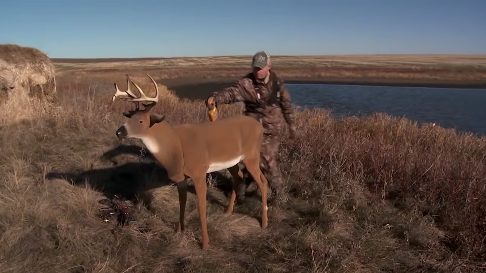 Mule Deer Scents - Just For Hunting