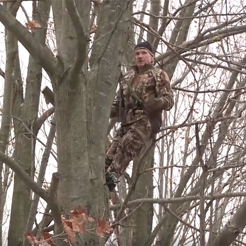 Stealthy Tactics for Bowhunting Shooting Lanes