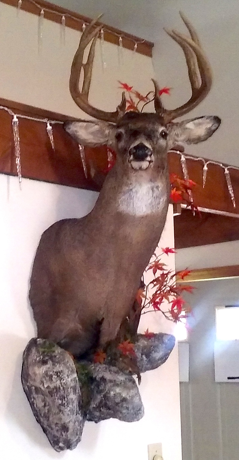 Deer Rut Calendar Pays Off with Public Land Giant