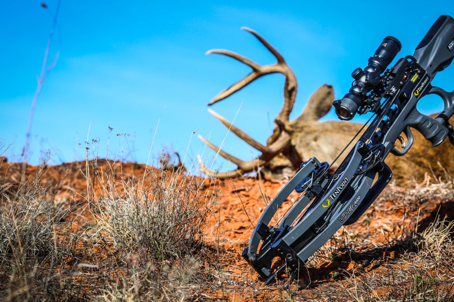 5 Tips for Early Archery Deer Season Success Deer & Deer Hunting