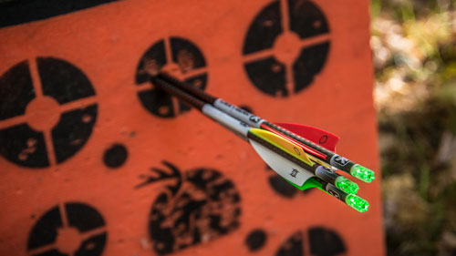 Top 5 Advantages of Reverse-Draw Crossbows