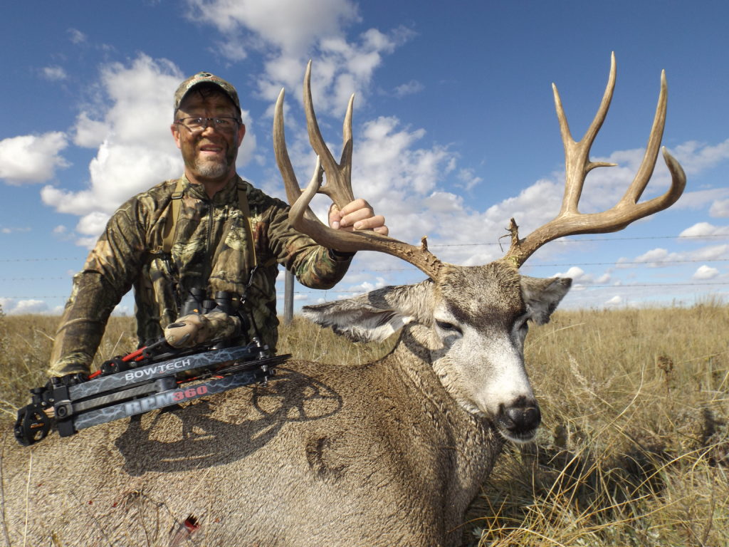 Top Bow Tips for Spotting and Stalking Deer