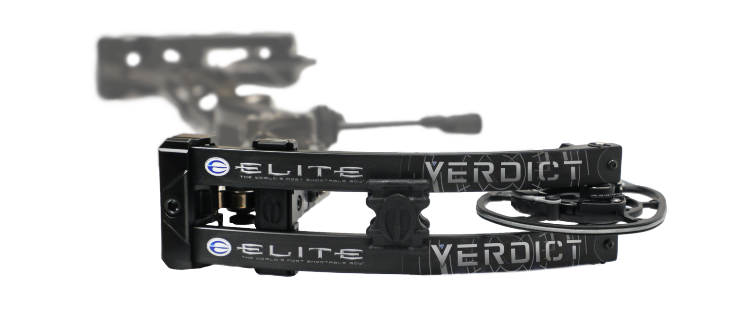 NEW Elite Target Bow The Verdict Deer & Deer Hunting