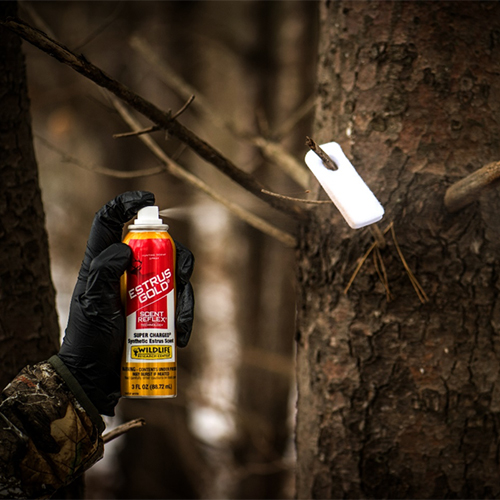 Best Scents to Use During the Rut