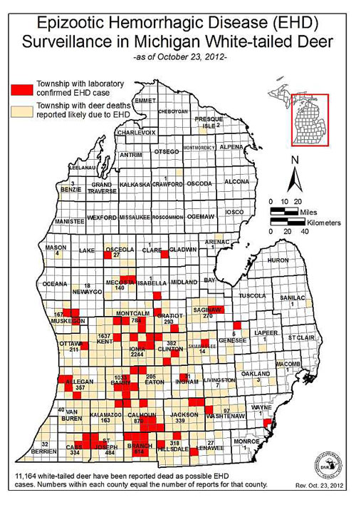 Michigan Retailers Feeling the Bite of EHD