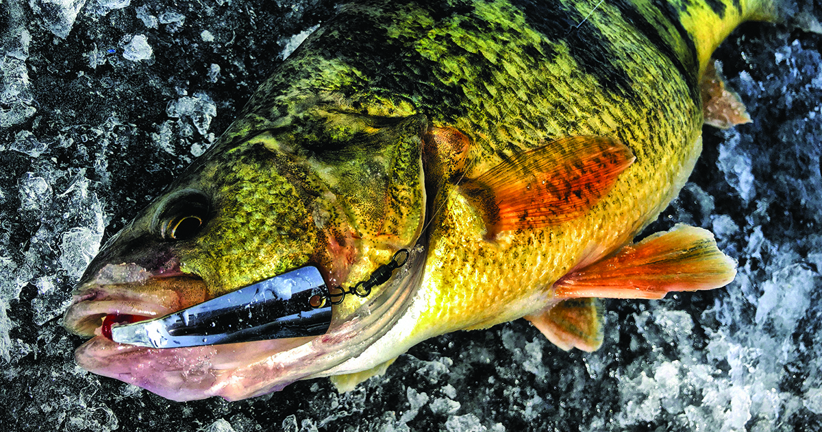 How to Fish Flats for Winter Perch
