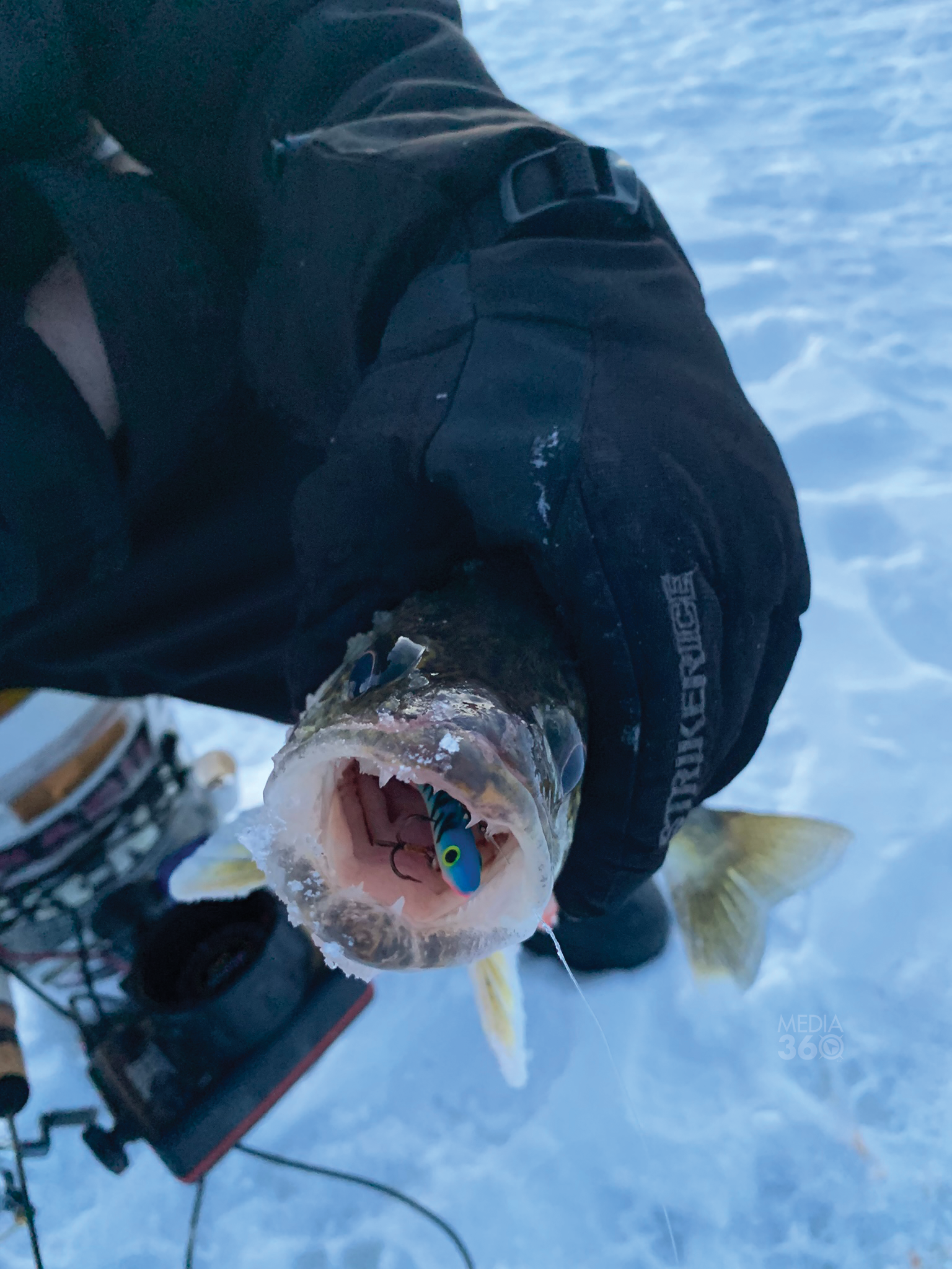 Tips for Targeting Shallow Water Walleye Through the Ice - Virtual Angling