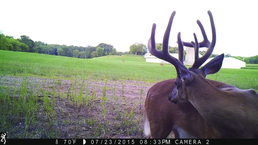 How to Get the Most Out of Your Trail Cameras