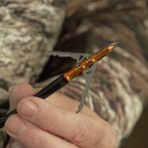 how-to-resharpen-your-broadhead-blades-deer-deer-hunting
