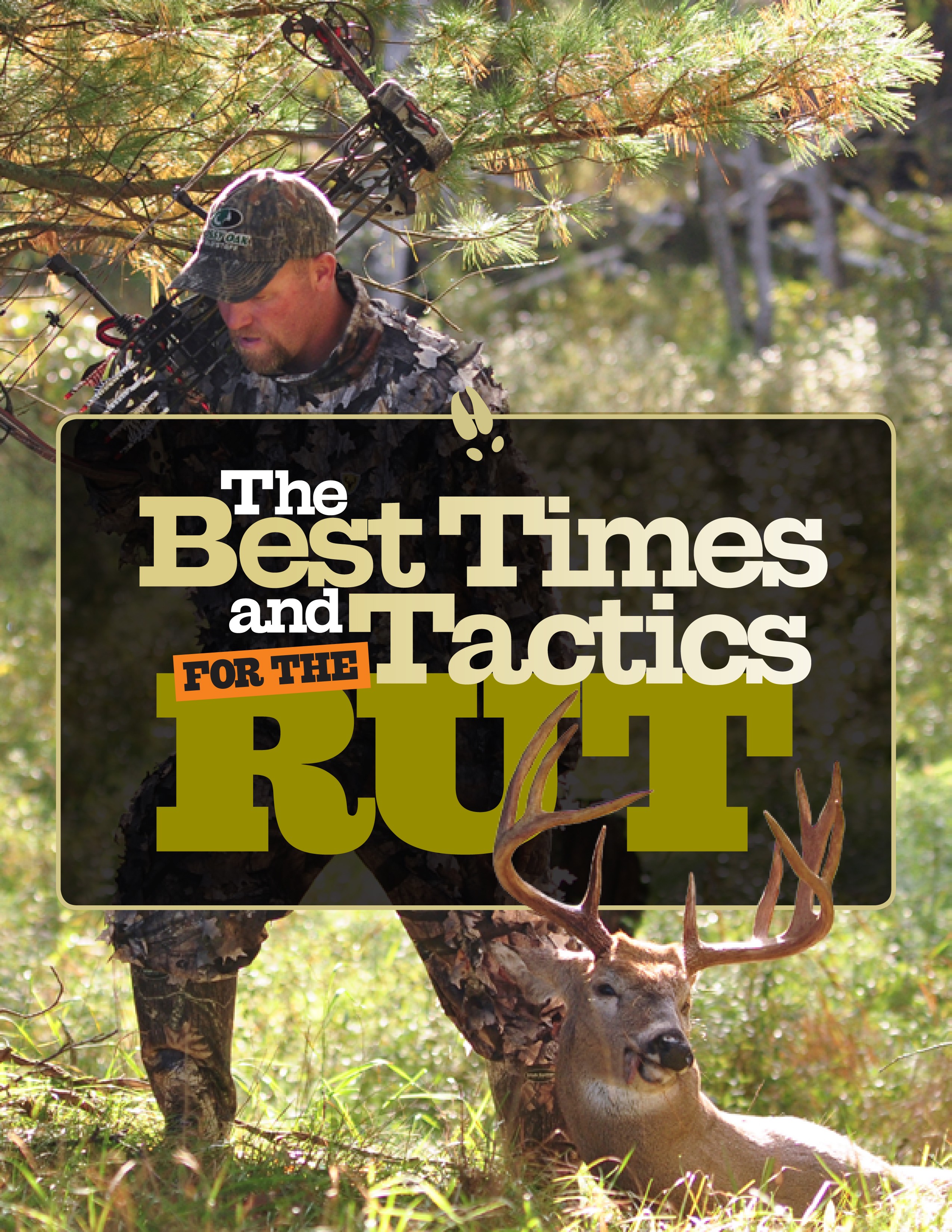 Tips for Hunting the Whitetail Deer Rut