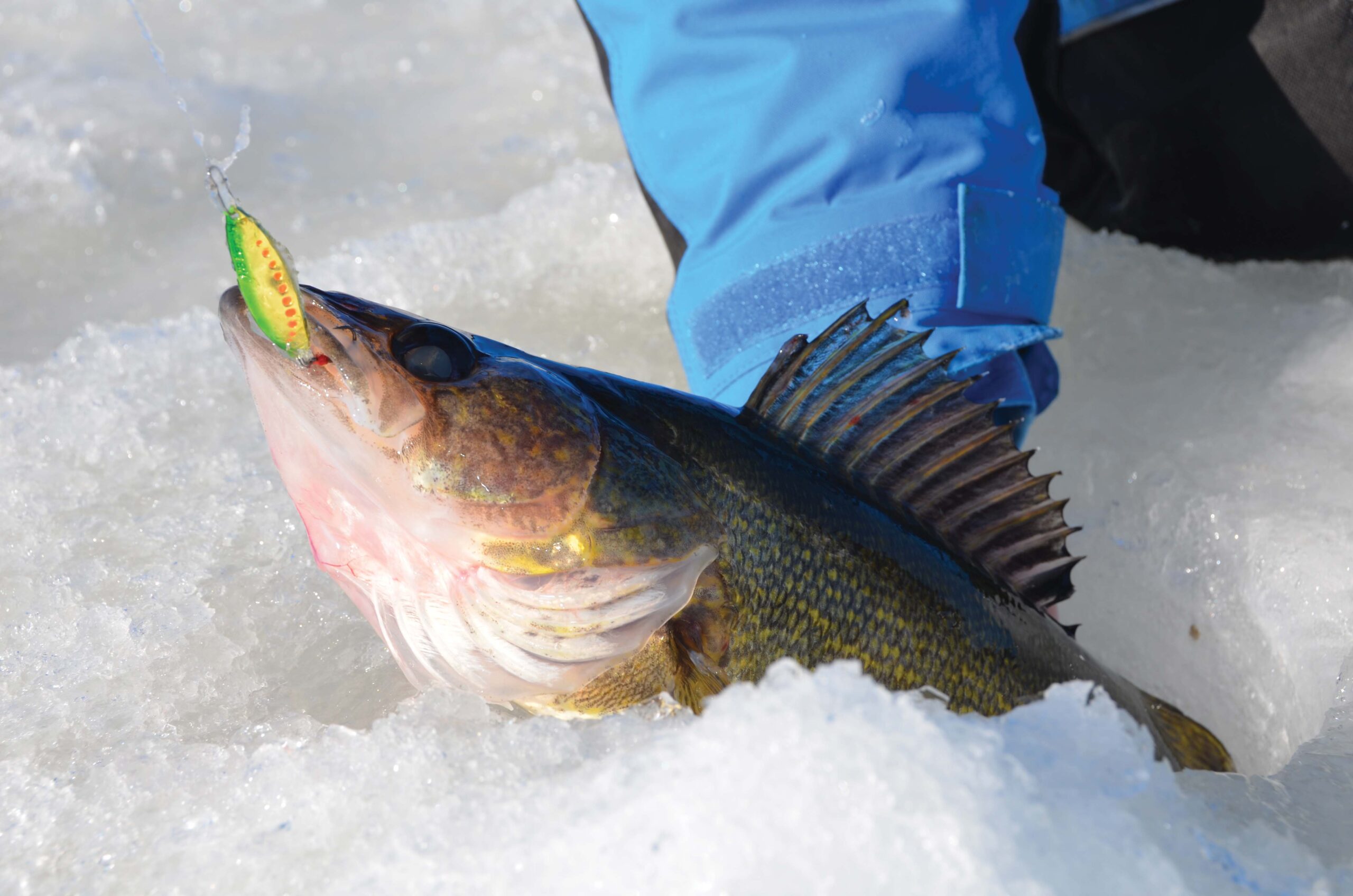 Tip-ups or Jigging: How to Fish Winter Pike