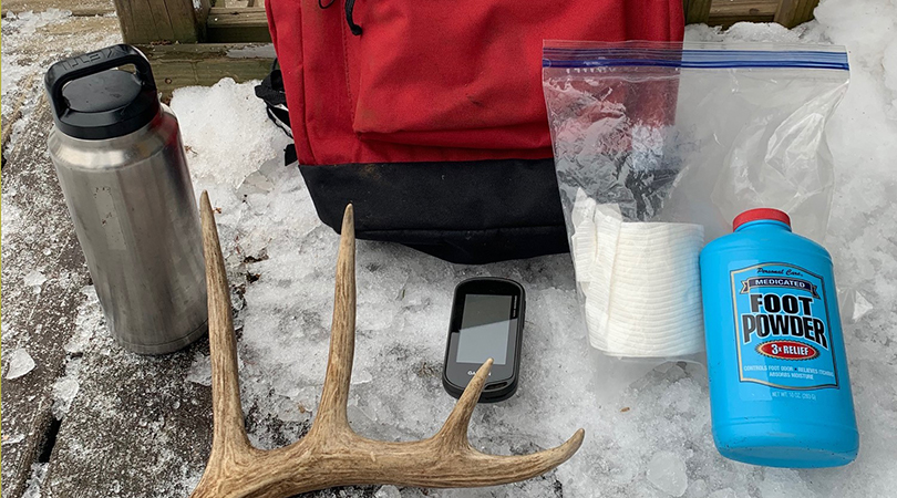 Shed Hunting